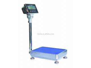 High Accuracy Platform weighing scales