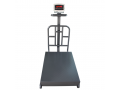 platform-weighing-scales-for-vegetable-shops-small-0