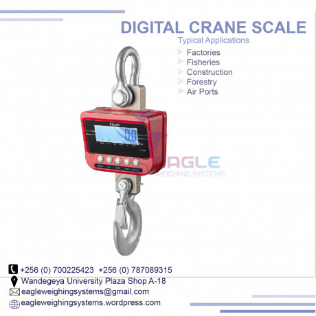 digital-hanging-scale50kg-capacity-in-mukono-big-0