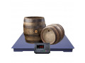 1-3-5-ton-weighing-floors-platform-scale-small-0