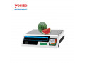 acs-electronic-weighing-rechargeable-battery-scale-small-0
