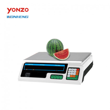 acs-electronic-weighing-rechargeable-battery-scale-big-0