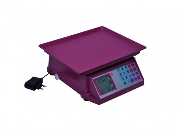 grocery-product-weighing-retail-pricing-scale-big-0