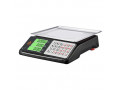 waterproof-type-stainless-steel-weighing-scales-small-0