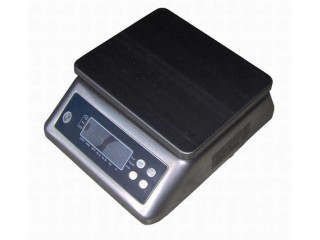 Waterproof precise table top bench weighing scales