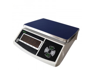 Balance Electronic Micro Precision Balancing Scale