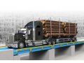 weight-bridge-scale-for-weighing-truck-small-0