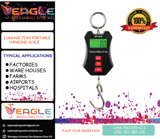 high-precision-hanging-weighing-scale-big-0