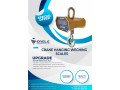 5-ton-crane-scales-small-1