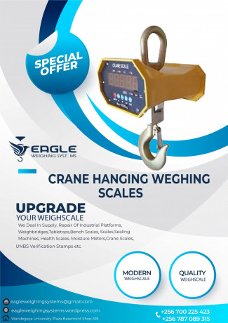 5-ton-crane-scales-big-1