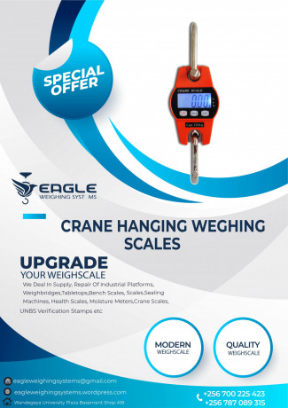 crane-scales-200kg-big-0