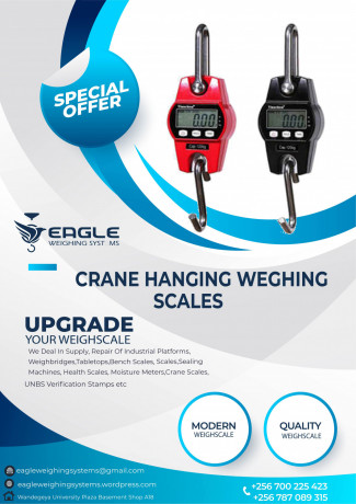 digital-crane-portable-electronic-weighing-scales-big-0