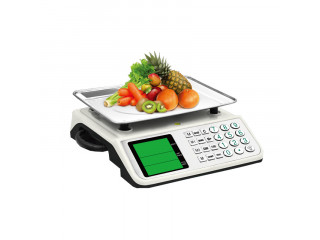 ABS plastic kitchen weight scale