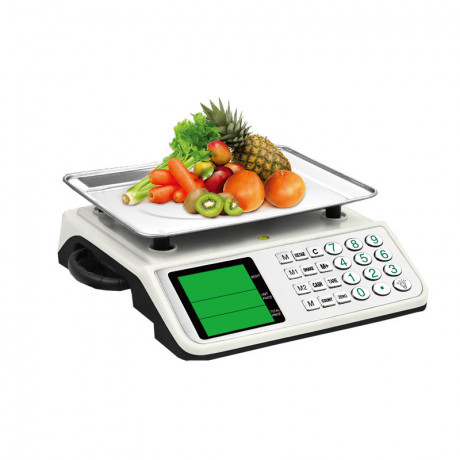 abs-plastic-kitchen-weight-scale-big-0