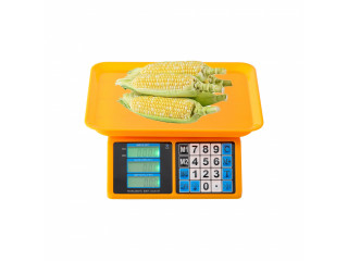 Digital Compact Tabletop Weighing weight Scale