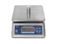 waterproof-weighing-scale-for-weighing-fish-small-0