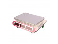 commercial-table-top-weighing-scales-small-0