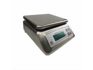 Waterproof type stainless steel weighing Scales