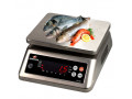 table-top-counting-weighing-scales-small-0