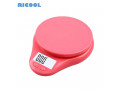 baking-kitchen-scales-sf400-10kg-small-0