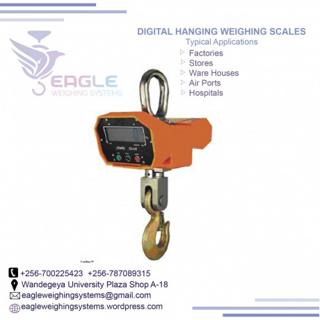 1-ton-digital-hanging-crane-scales-in-mukono-big-0