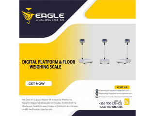 Special Design Widely Used 300kg electronic scale weigh