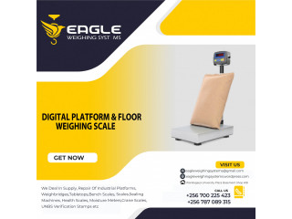 Digital Carbon Steel Platform Bench Scale with A12E Weighing Indicator