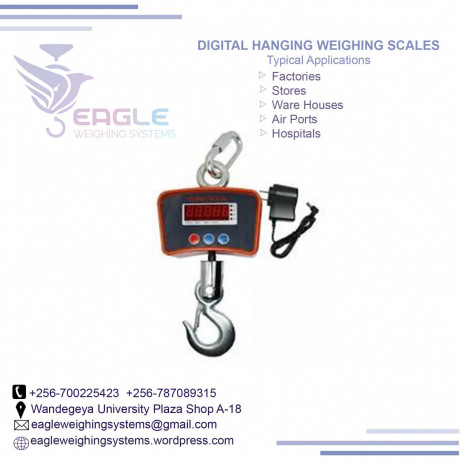 industrial-hangingweighing-crane-scale-in-mukono-big-0