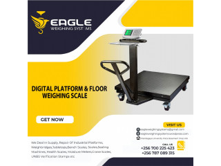 WT-LL 500kg Platform Industrial weighing scale