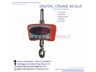 Waterproof digital hanging scales for fisheries in Uganda