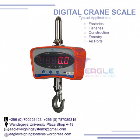 waterproof-digital-hanging-scales-for-fisheries-in-uganda-big-0