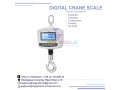 crane-scales-200kg-at-eagle-weighing-systems-in-wandegeya-small-0