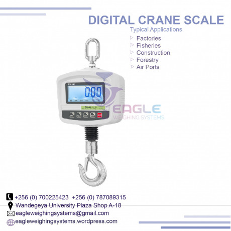 crane-scales-200kg-at-eagle-weighing-systems-in-wandegeya-big-0