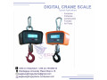 digital-crane-portable-electronic-weighing-scales-in-kampala-small-0