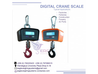 Digital Crane Portable Electronic Weighing Scales in Kampala