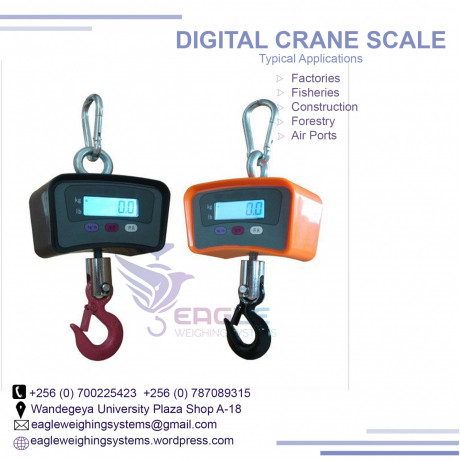 digital-crane-portable-electronic-weighing-scales-in-kampala-big-0