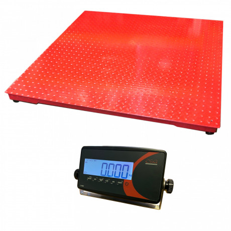 food-industrial-processing-floor-scale-big-0