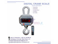 digital-bluetooth-hook-hanging-crane-scale-in-mukono-small-0