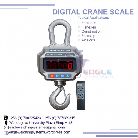 digital-bluetooth-hook-hanging-crane-scale-in-mukono-big-0