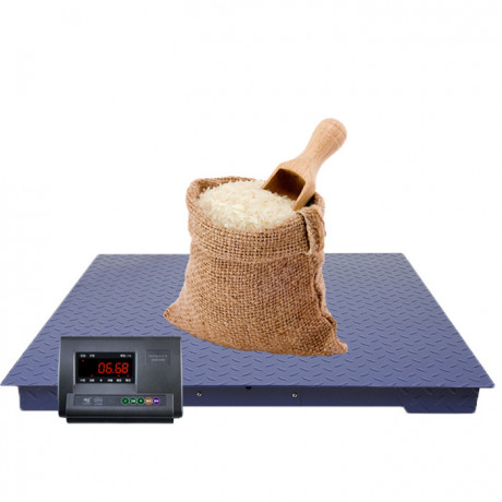 digital-weight-3-ton-electric-warehouse-weighing-scales-big-0