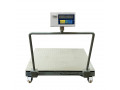 digital-weight-3-ton-electric-warehouse-a12e-platform-scales-small-0