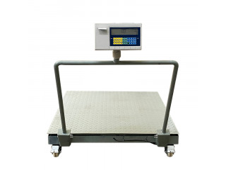 Digital weight 3 ton electric warehouse A12E platform scales