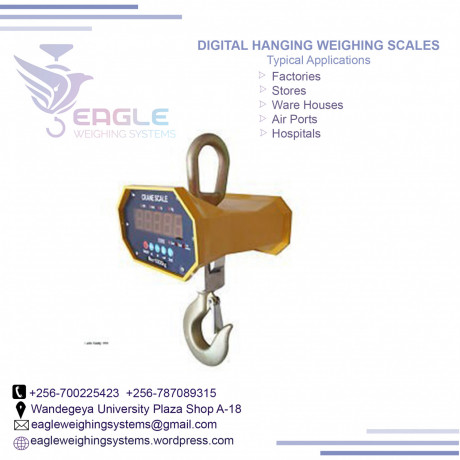 digital-industrial-calibrated-weighing-scales-in-kampala-big-0