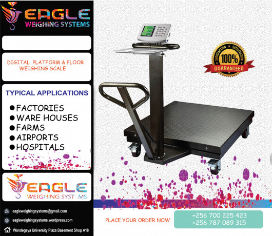 weighing-floor-scales-at-eagle-weighing-systems-ltd-big-0