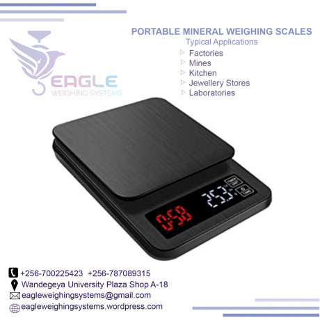 electronic-weighing-balance-portable-weighing-scale-in-kampala-big-0