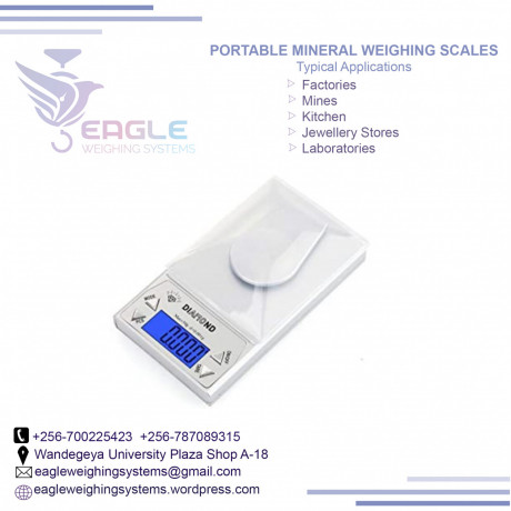 mini-digital-portable-electronic-weighing-scale-in-jinja-big-0