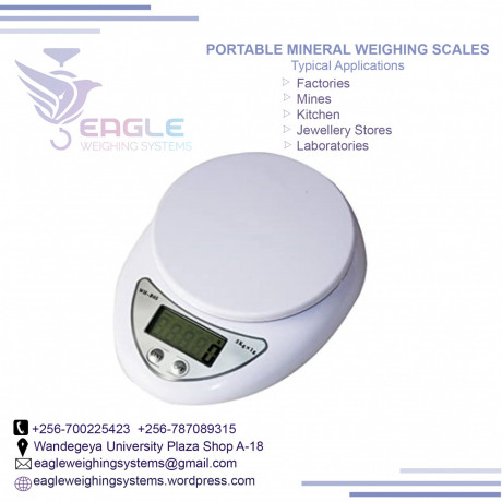 high-precision-portable-digital-scale-in-kampala-big-0