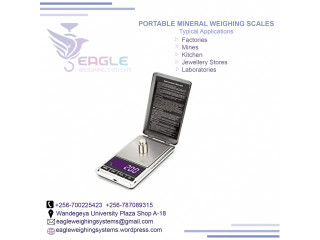 LCD mini digital portable weighing scale in kampala