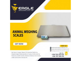 Do you need a cattle weighing scale in Kampala Uganda ?