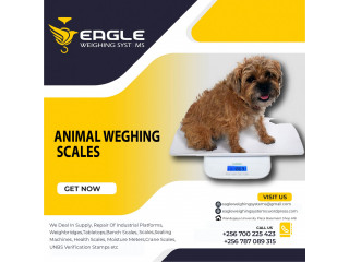 Farm Animal Weighing scales shop in Uganda